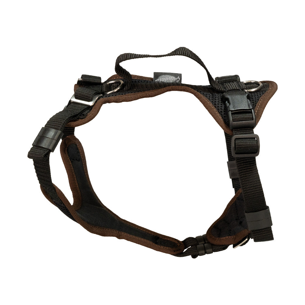 Puppy harness Popp-It