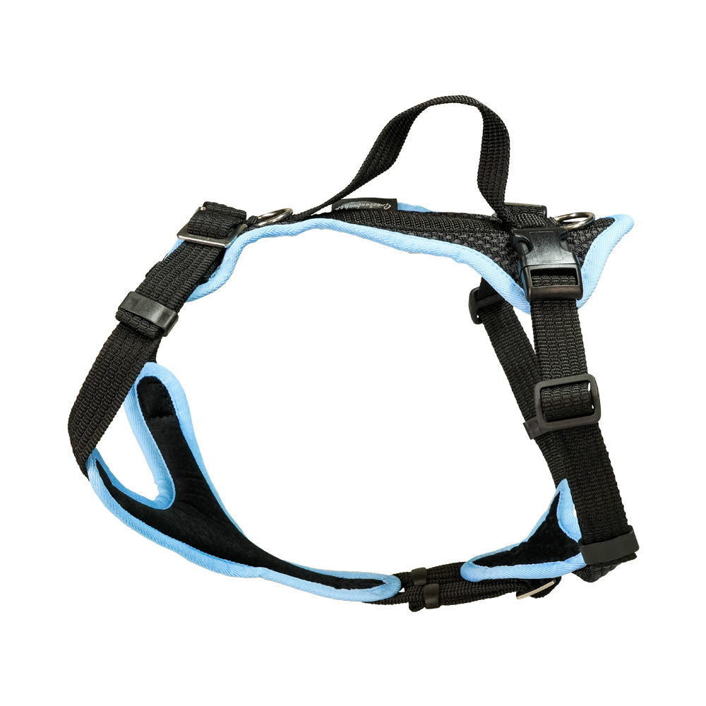 Puppy harness Popp-It