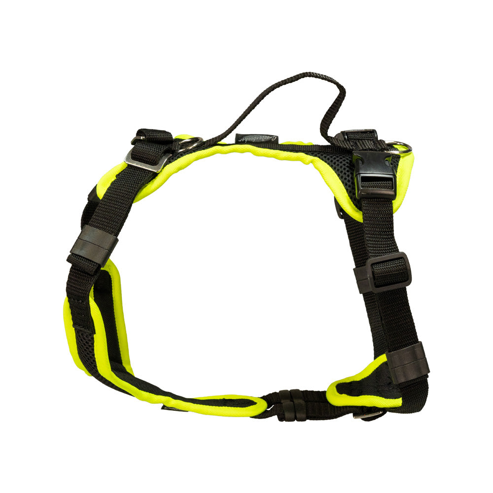 Puppy harness Popp-It