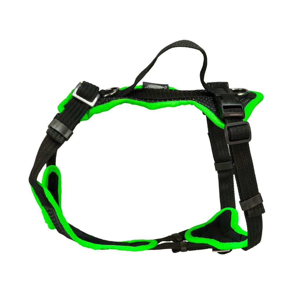 Puppy harness Popp-It