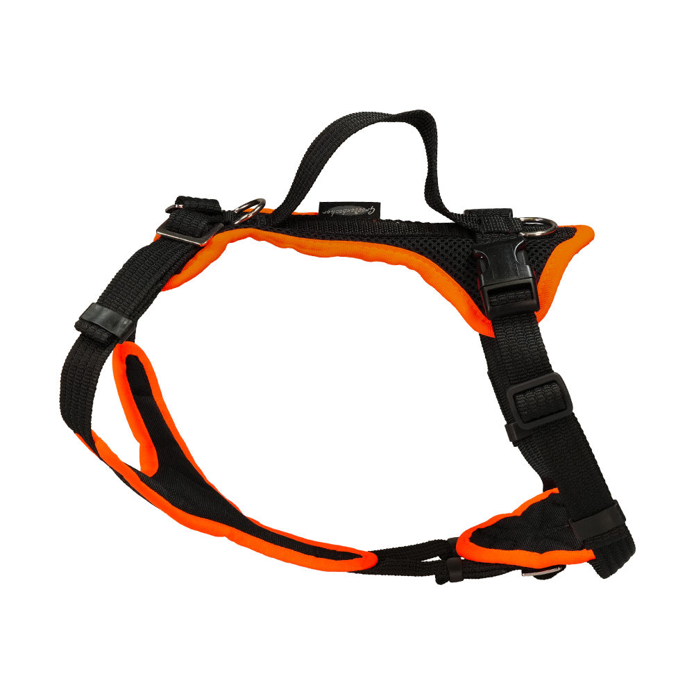 Puppy harness Popp-It