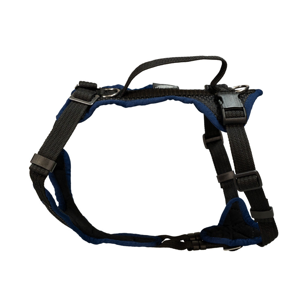 Puppy harness Popp-It