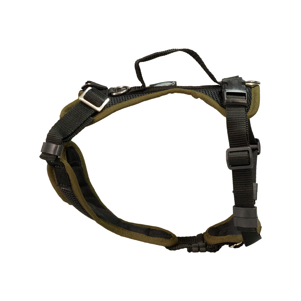 Puppy harness Popp-It