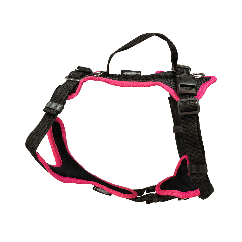 Puppy harness Popp-It