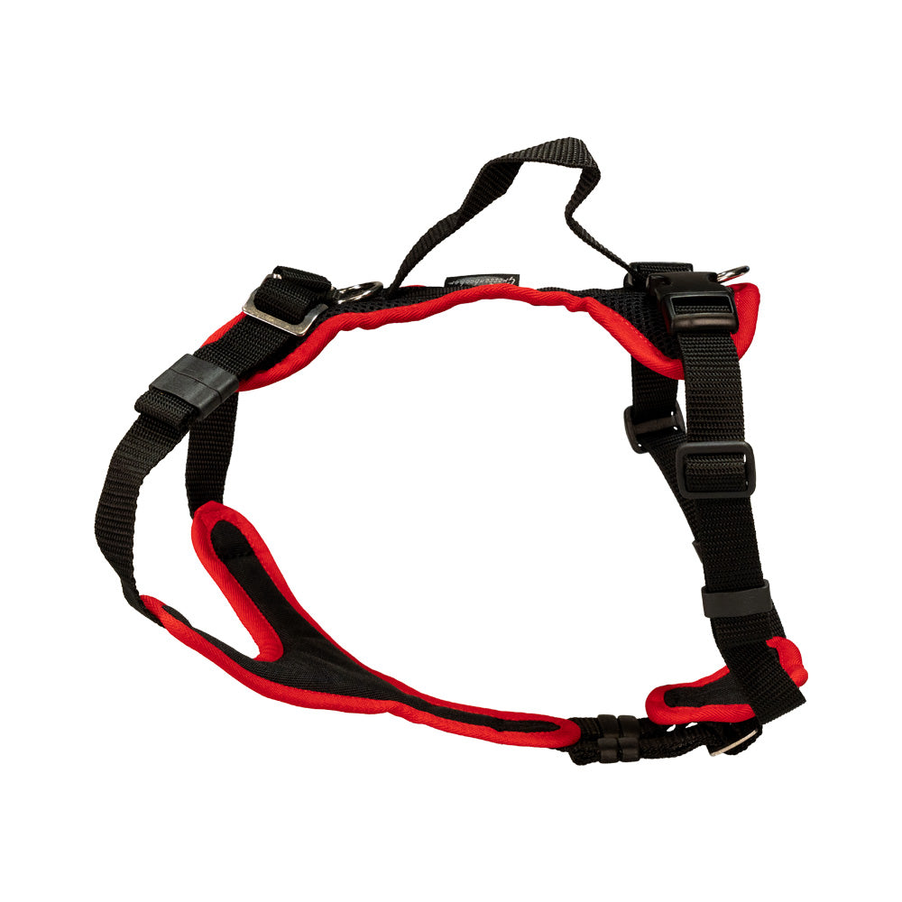 Puppy harness Popp-It