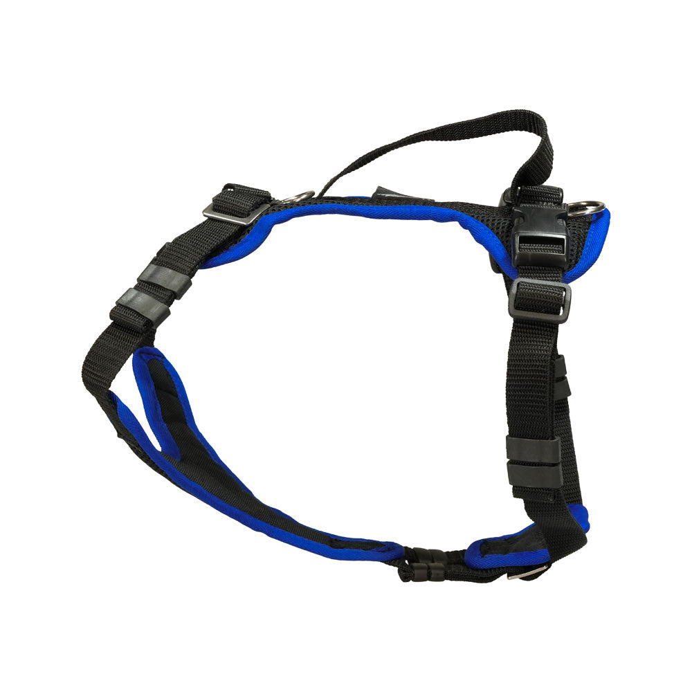 Puppy harness Popp-It