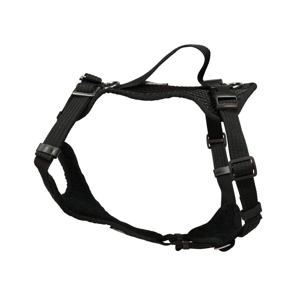 Puppy harness Popp-It