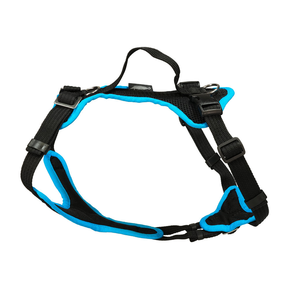 Puppy harness Popp-It