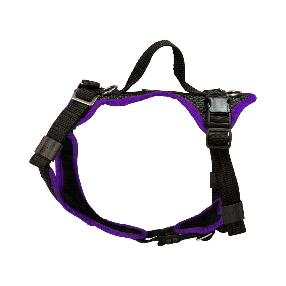 Puppy harness Popp-It