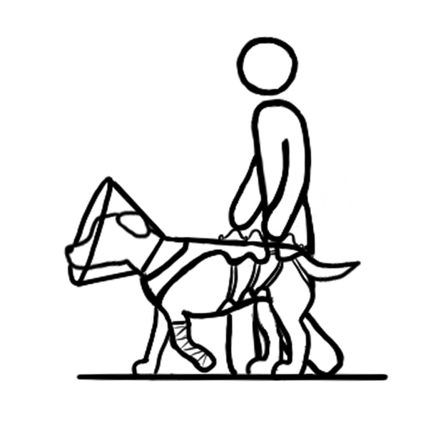 Anwendungsicon