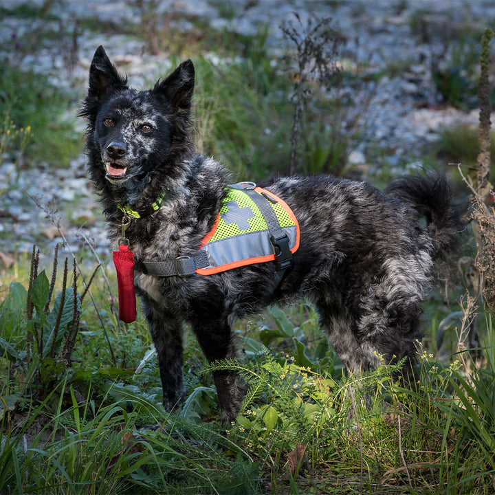 Sanitätskenndecke Gina