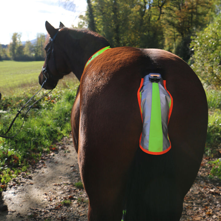 Luminous tail ribbon Colorado