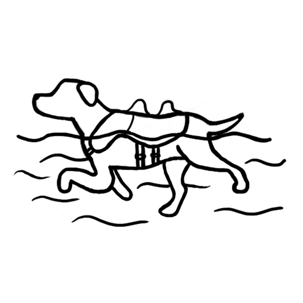 Icône de l'application
