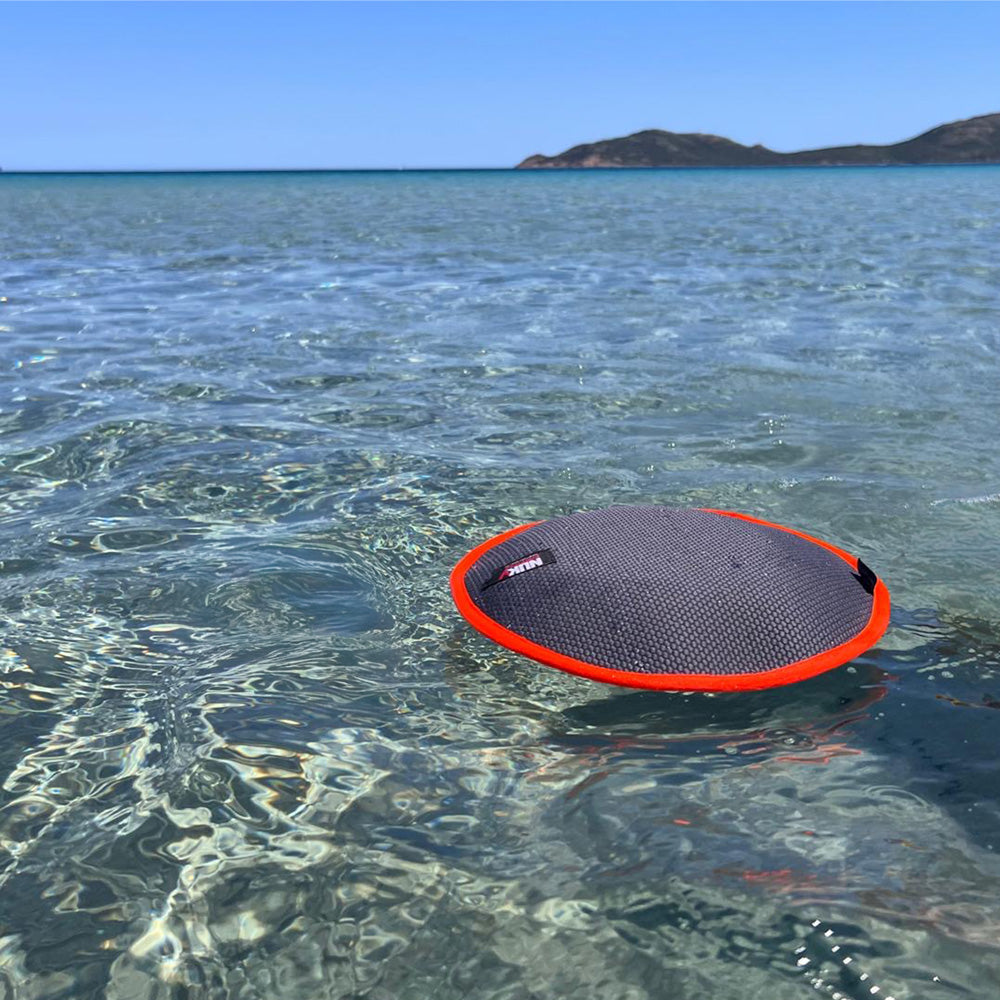 Flying Disc schwimmend