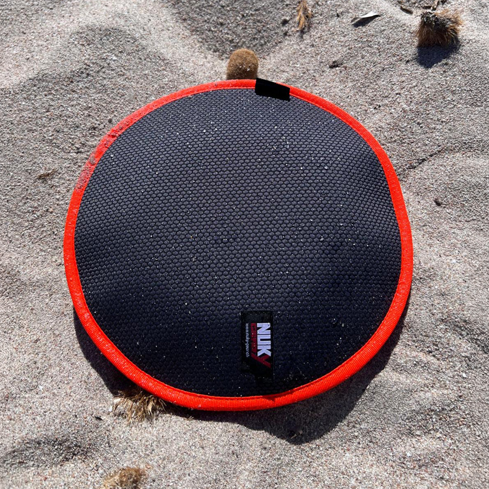 Flying Disc schwimmend