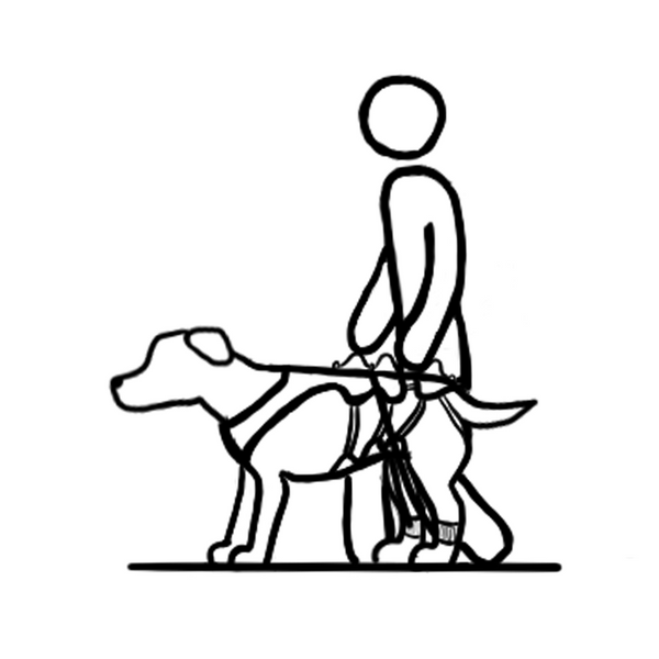 Anwendungsicon