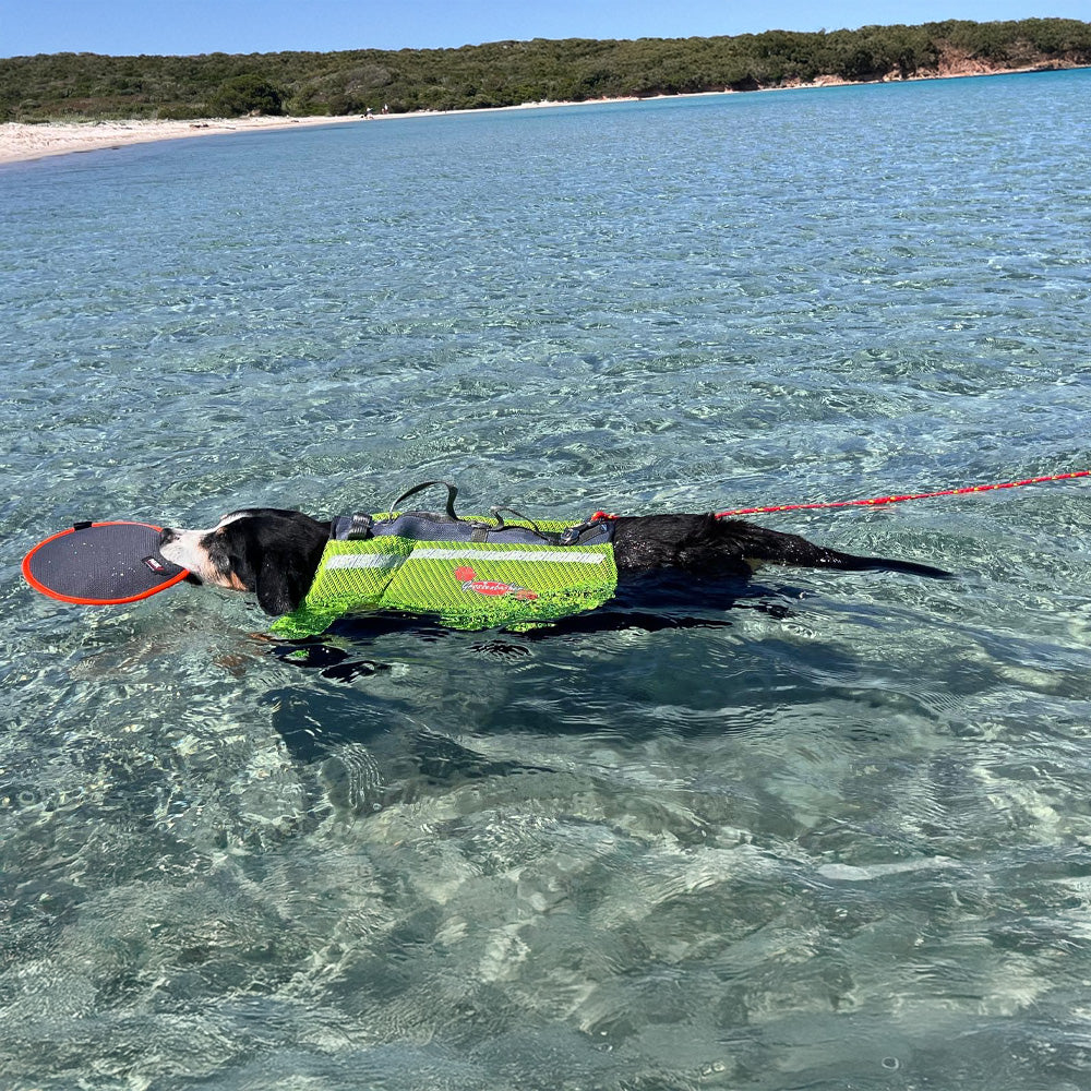 Schwimmende Schleppleine