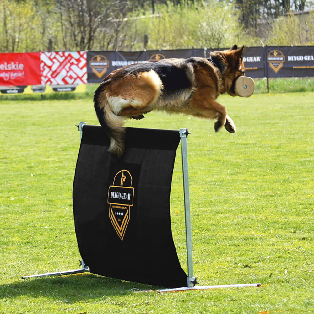 Haie de saut 100 cm de haut - Dingo Gear