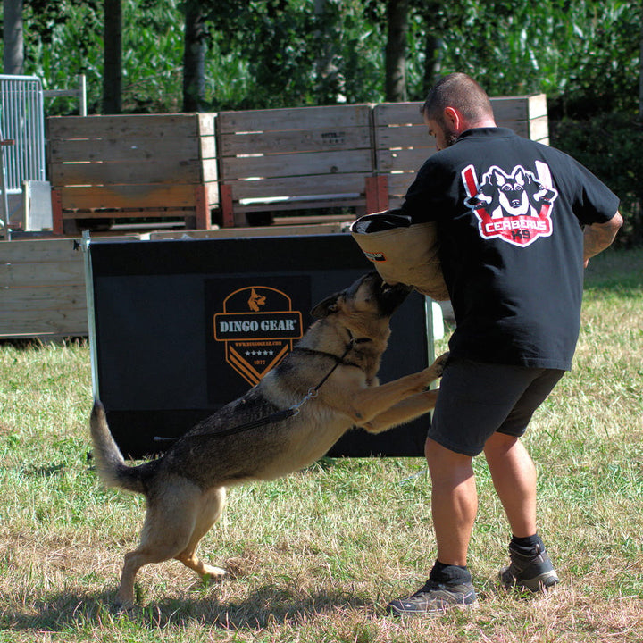 Sprunghürde 100 cm hoch - Dingo Gear