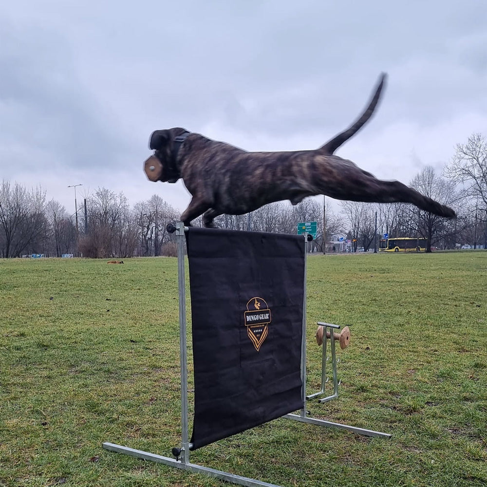 Sprunghürde 100 cm hoch - Dingo Gear