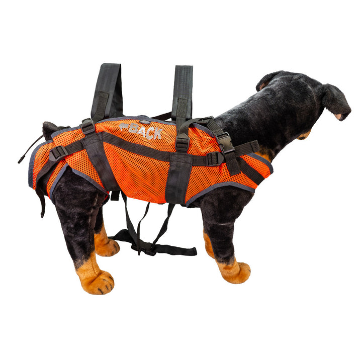 Tragerucksack für Hunde, aus Luftdurchässigem Netz-Material und rousten Gurten. Ansicht hinten