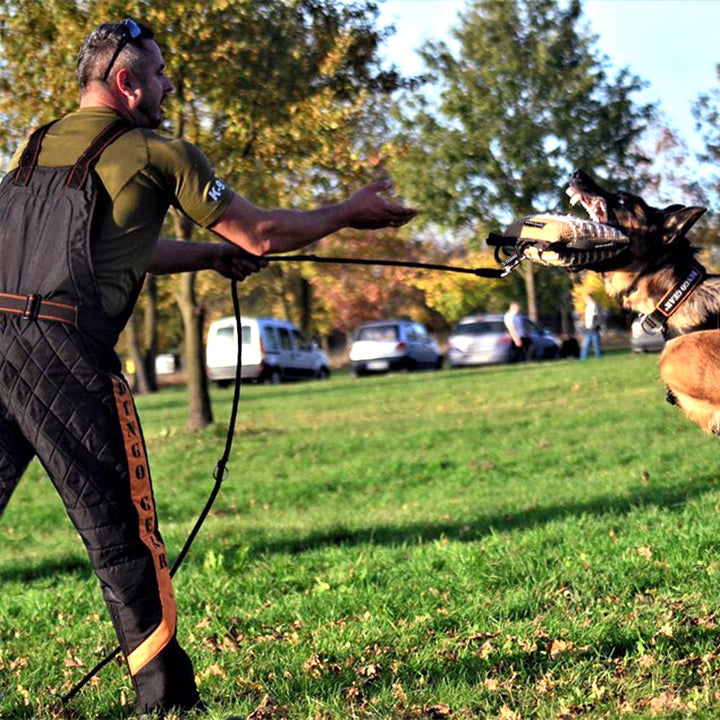 Trainingsanzug Schutzdienst leicht Dingo Gear