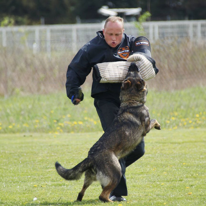 Trainingsarm FRED 2 medium, aus Jute - Dingo Gear