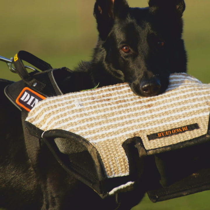 Trainingsarm FRED kurz, aus Jute - Dingo Gear