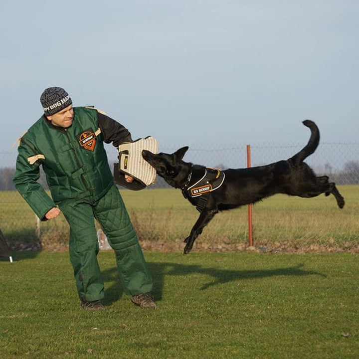 Trainingsarm FRED kurz, aus Jute - Dingo Gear