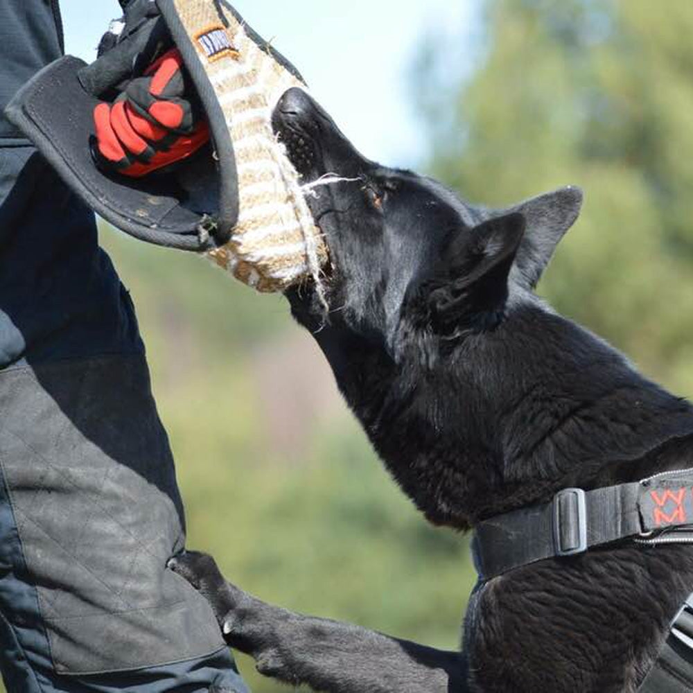 Trainingsarm FRED kurz, aus Jute - Dingo Gear