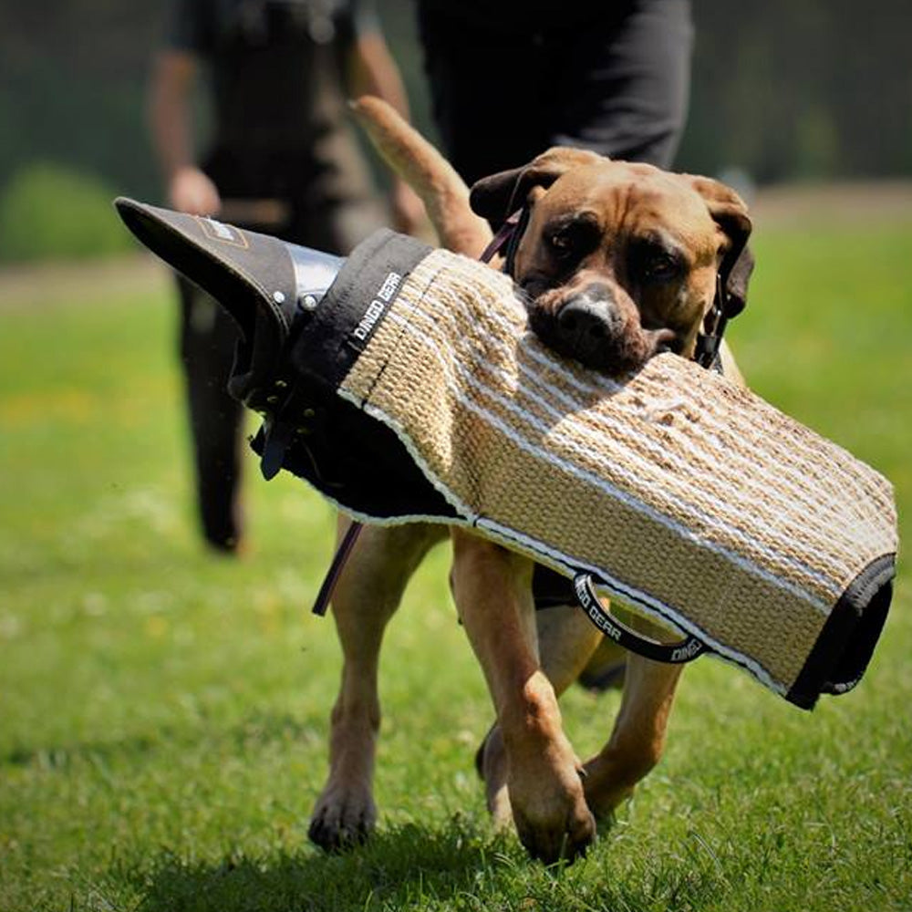 Trainingsarm GARDA strong - Dingo Gear