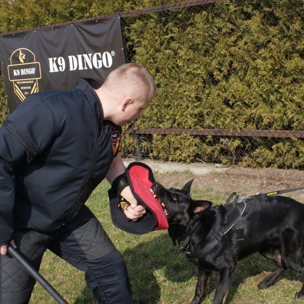 Trainingsarm offen BELL - Dingo Gear