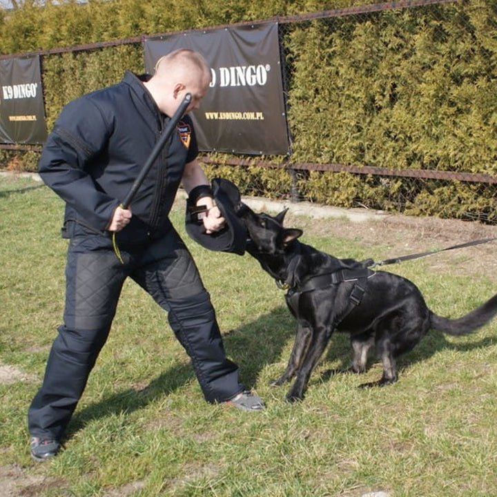 Trainingsarm offen BELL - Dingo Gear