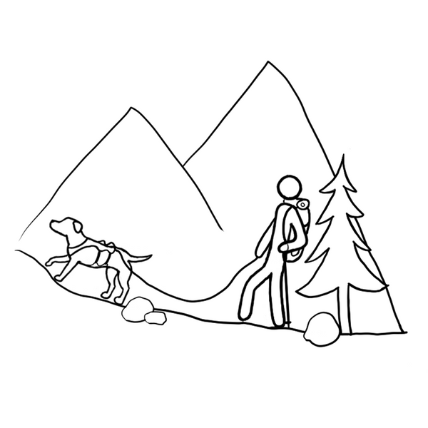 Anwendungsicon