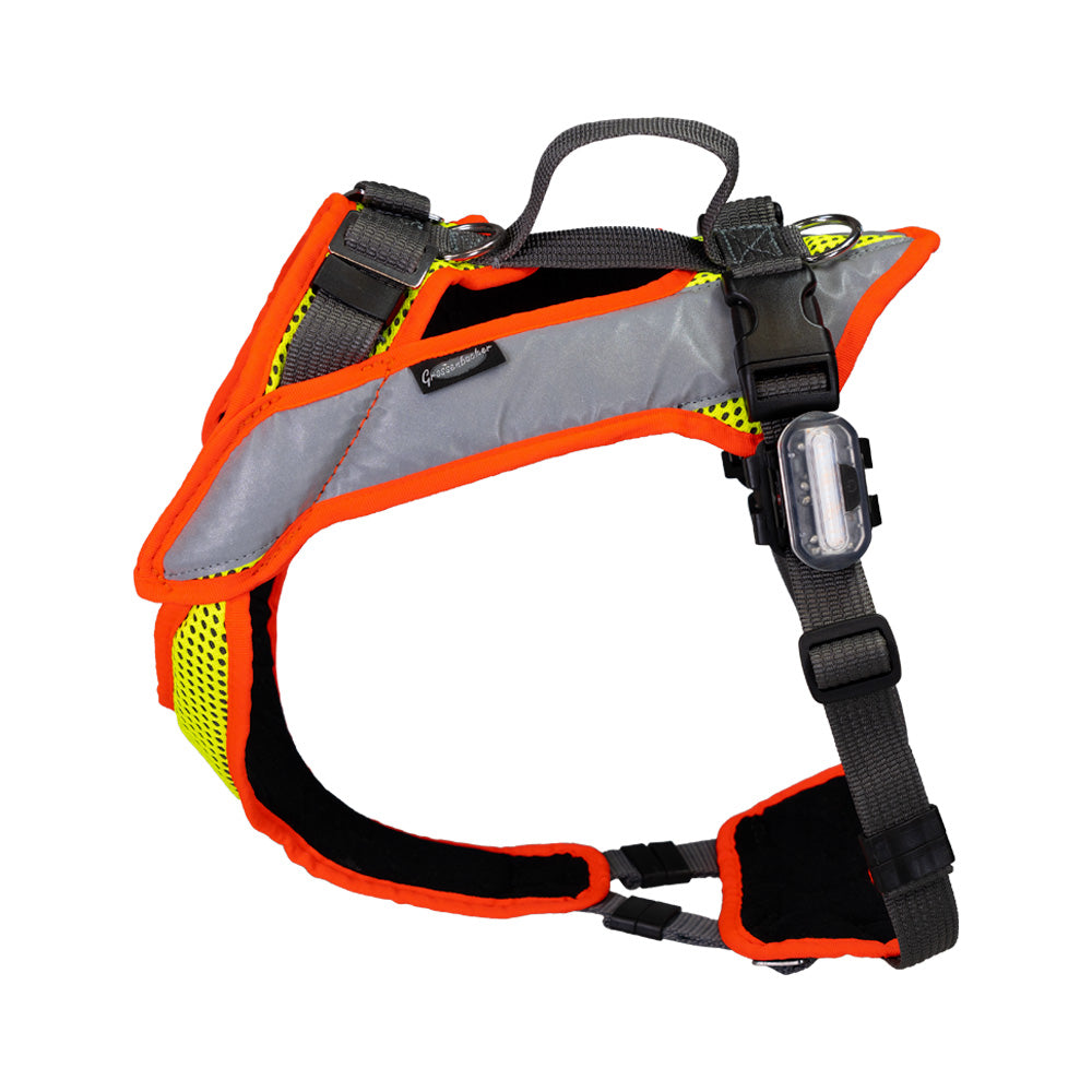 Vary Night Dog Harness