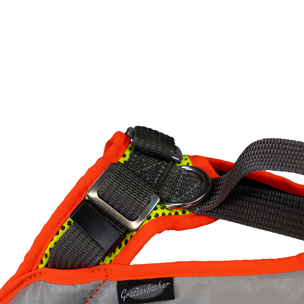 Vary Night Dog Harness