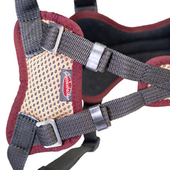 Harnais pour jeunes chiens Vary Standard, réglable librement. beige-bordeaux, détail ventre