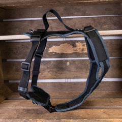 harnais pour chien Vary couleurs spéciales, noir-gris foncé, Outlet, Sale