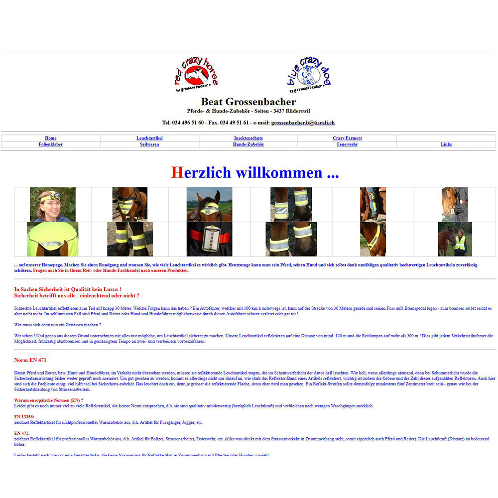 Erste eigene Website