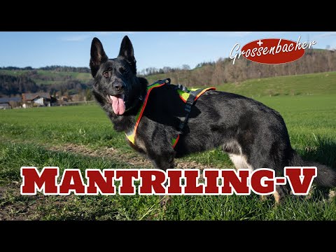 Dog harness Vary Mantrail