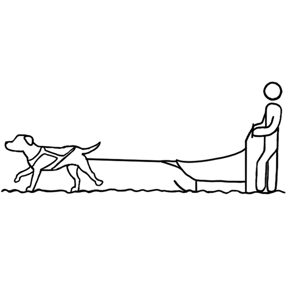 Anwendungsicon