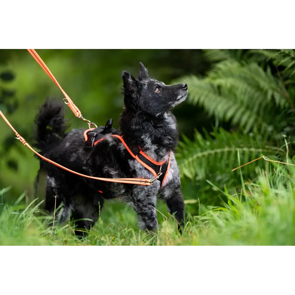 Vary Pro Guide Dog Harness