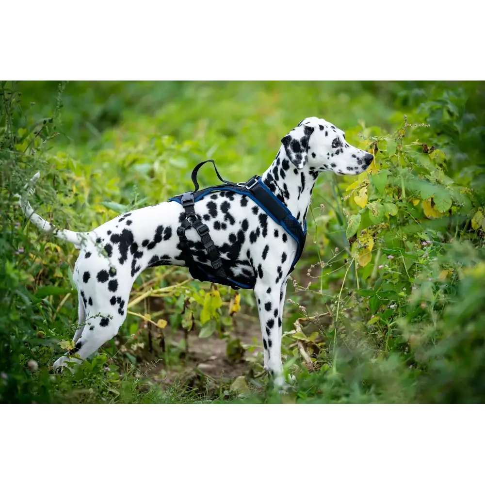 Vary Pro Guide Dog Harness