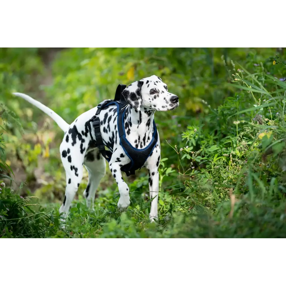 Vary Pro Guide Dog Harness