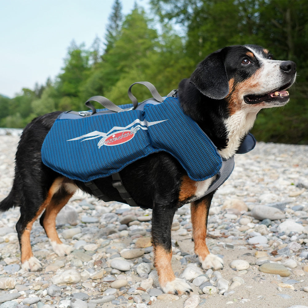 New colors and sizes for our dog life jackets!