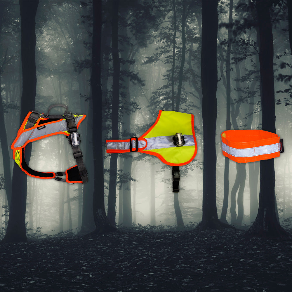 Illuminated Products