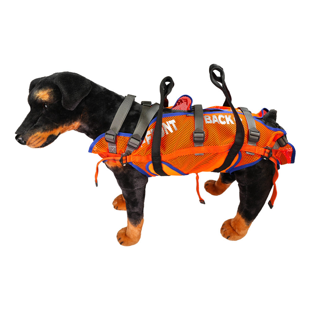 Abseiling bag for dogs, made of mesh material and straps. For abseiling dogs. orange. from above