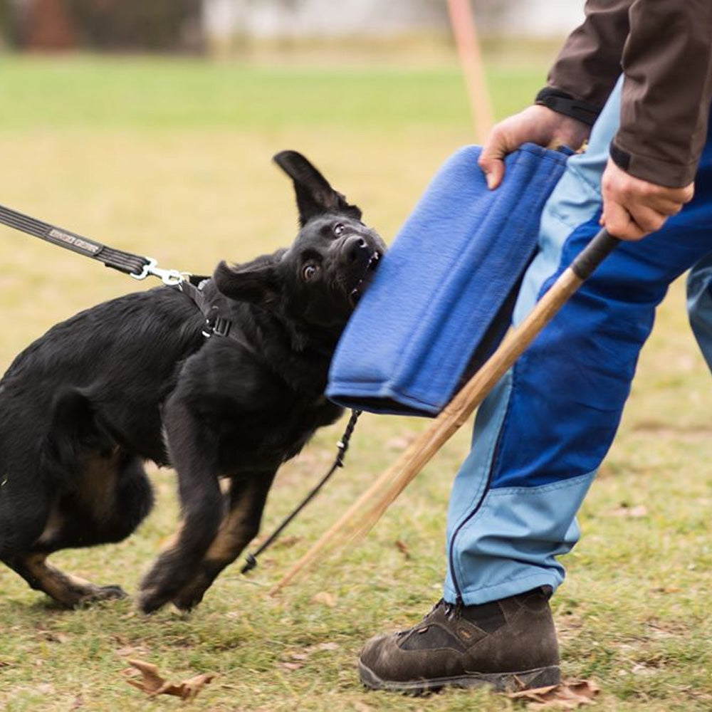 Short leg cuff SOFT - Dingo Gear