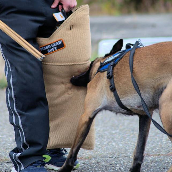 Long leg cuff SOFT - Dingo Gear