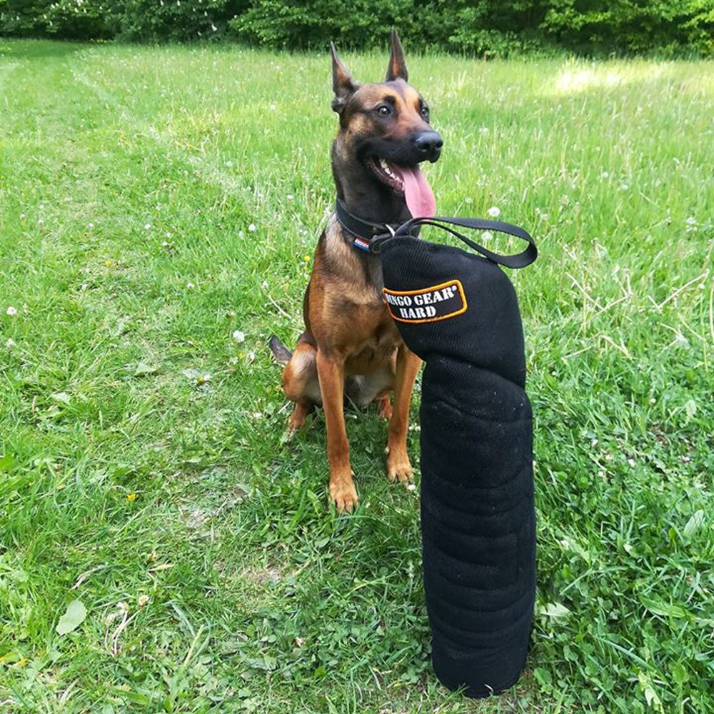 Bite arm EXTERN hard - Dingo Gear